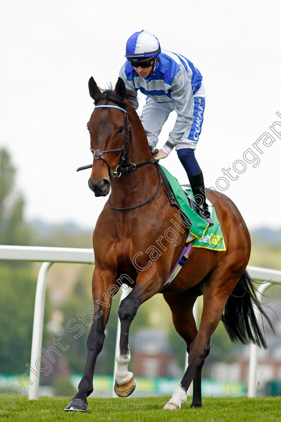 Tasman-Bay-0002 
 TASMAN BAY (David Probert)
Sandown 26 Apr 2024 - Pic Steven Cargill / Racingfotos.com