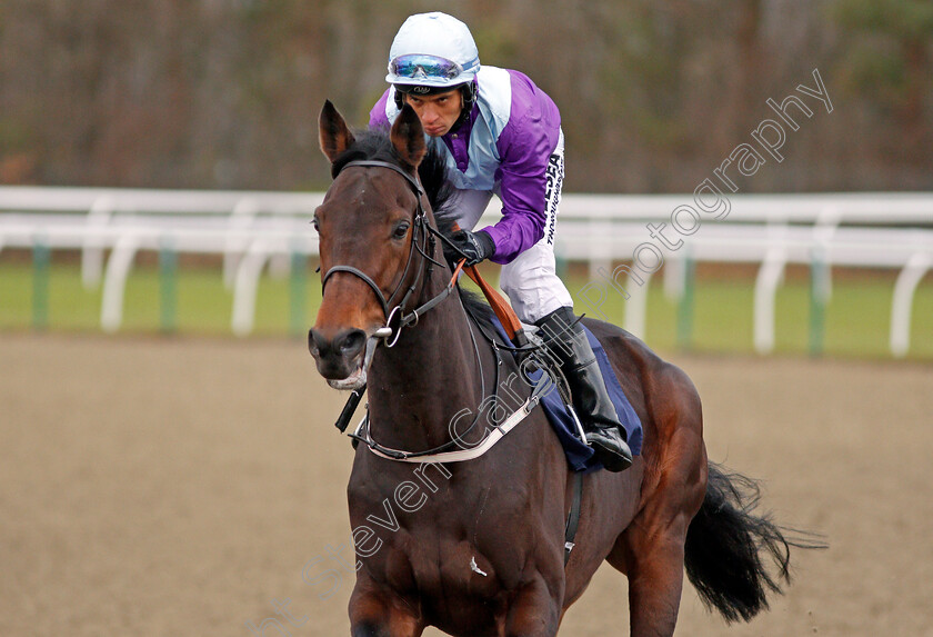 Dash-Of-Spice-0001 
 DASH OF SPICE (Sean Levey) winner of The Betay Maiden Stakes Lingfield 13 Dec 2017 - Pic Steven Cargill / Racingfotos.com