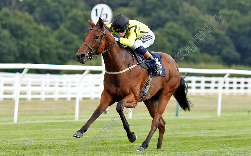 Solesmes-0005 
 SOLESMES (David Egan) wins The 188bet Live Casino Claiming Stakes
Lingfield 25 Jul 2018 - Pic Steven Cargill / Racingfotos.com