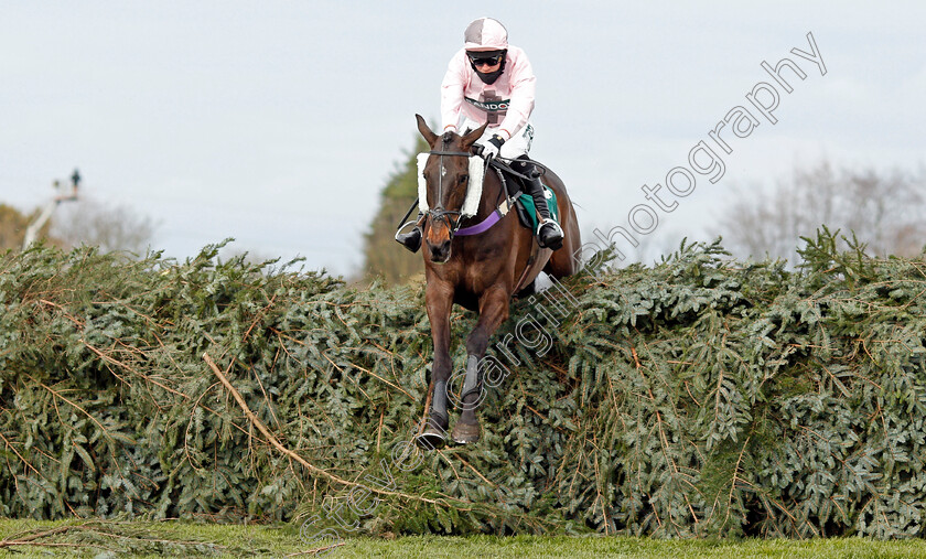 Bishops-Road-0001 
 BISHOPS ROAD (Edward Austin)
Aintree 8 Apr 2021 - Pic Steven Cargill / Racingfotos.com