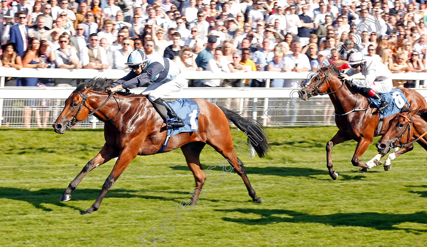 Alligator-Alley-0003 
 ALLIGATOR ALLEY (Donnacha O'Brien) wins The Julia Graves Roses Stakes
York 24 Aug 2019 - Pic Steven Cargill / Racingfotos.com