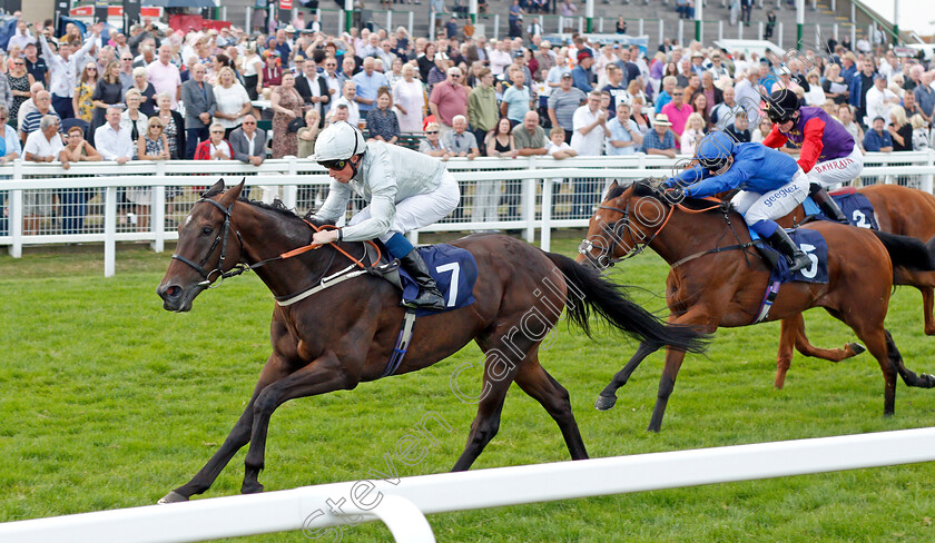 Forest-Falcon-0002 
 FOREST FALCON (William Buick) wins The Sky Sports Racing Sky 415 Handicap
Yarmouth 16 Sep 2021 - Pic Steven Cargill / Racingfotos.com