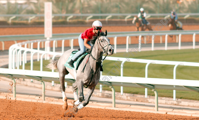 Tacitus-0003 
 TACITUS preparing for The Saudi Cup
Riyadh Racetrack, Kingdom Of Saudi Arabia, 27 Feb 2020 - Pic Steven Cargill / Racingfotos.com