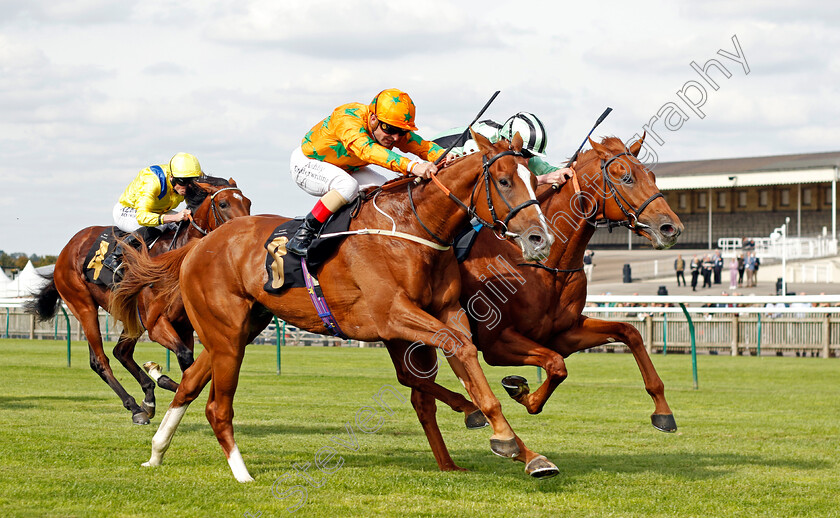 Tenerife-Sunshine-0003 
 TENERIFE SUNSHINE (Andrea Atzeni) beats LIKE A TIGER (right) in The Turners British EBF Maiden Stakes
Newmarket 22 Sep 2022 - Pic Steven Cargill / Racingfotos.com