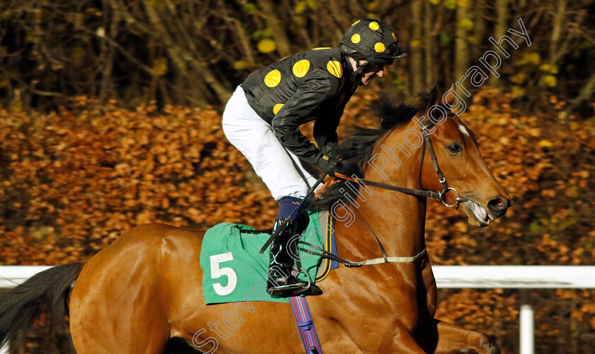 Old-Chums-0001 
 OLD CHUMS (Liam Keniry)
Kempton 13 Dec 2023 - Pic Steven Cargill / Racingfotos.com