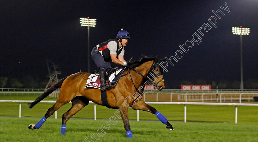 Trawlerman-0001 
 TRAWLERMAN training for The Dubai Gold Cup
Meydan Dubai 28 Mar 2024 - Pic Steven Cargill / Racingfotos.com