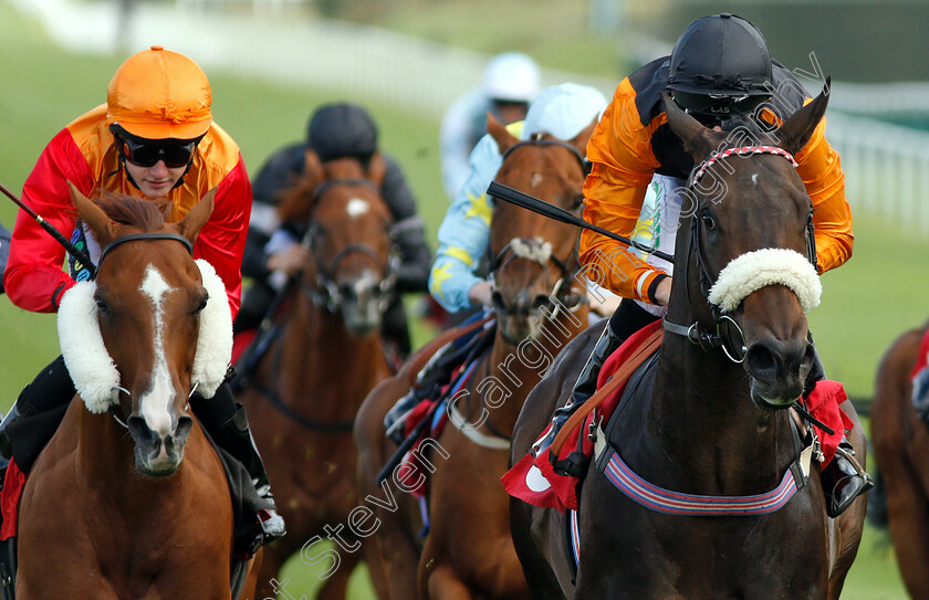 Saaheq-0005 
 SAAHEQ (Luke Morris) wins The Smarkets Handicap
Sandown 19 Sep 2018 - Pic Steven Cargill / Racingfotos.com