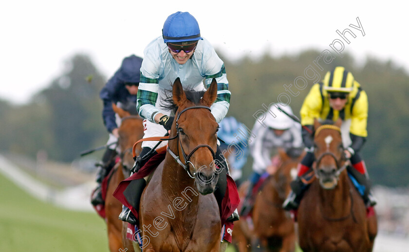 Quickthorn-0002 
 QUICKTHORN (Tom Marquand) wins The Al Shaqab Goodwood Cup
Goodwood 1 Aug 2023 - Pic Steven Cargill / Racingfotos.com