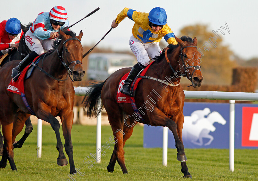 Star-Rock-0006 
 STAR ROCK (right, P J McDonald) beats VINTAGE FOLLY (left) in The Betfred TV EBF Stallions Breeding Winners Gillies Fillies Stakes Doncaster 11 Nov 2017 - Pic Steven Cargill / Racingfotos.com