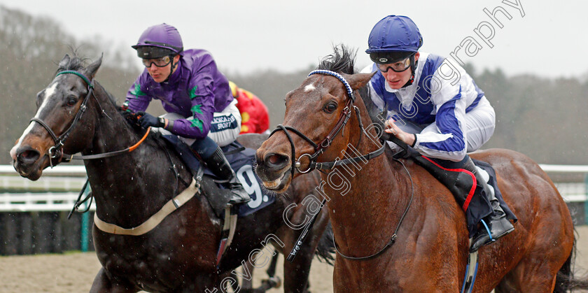 The-Warrior-0004 
 THE WARRIOR (Daniel Muscutt) wins The Bombardier March To Your Own Drum Handicap
Lingfield 15 Feb 2020 - Pic Steven Cargill / Racingfotos.com