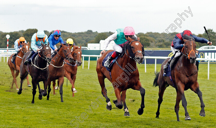 Westerland-0001 
 WESTERLAND (centre, Frankie Dettori) beats REGIMENTED (right) in The Napoleons Casinos & Restaurants Nursery Doncaster 16 Sep 2017 - Pic Steven Cargill / Racingfotos.com