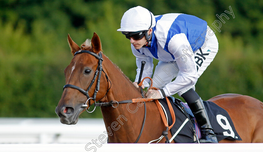 Crackovia-0001 
 CRACKOVIA (Richard Kingscote)
Chelmsford 7 Jun 2022 - Pic Steven Cargill / Racingfotos.com