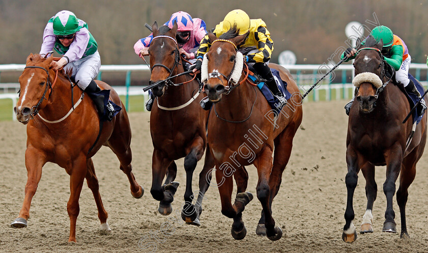 Ornate-0003 
 ORNATE (centre, Phil Dennis) beats LIHOU (left) and ROYAL BIRTH (right) in The Betway Handicap
Lingfield 6 Mar 2021 - Pic Steven Cargill / Racingfotos.com