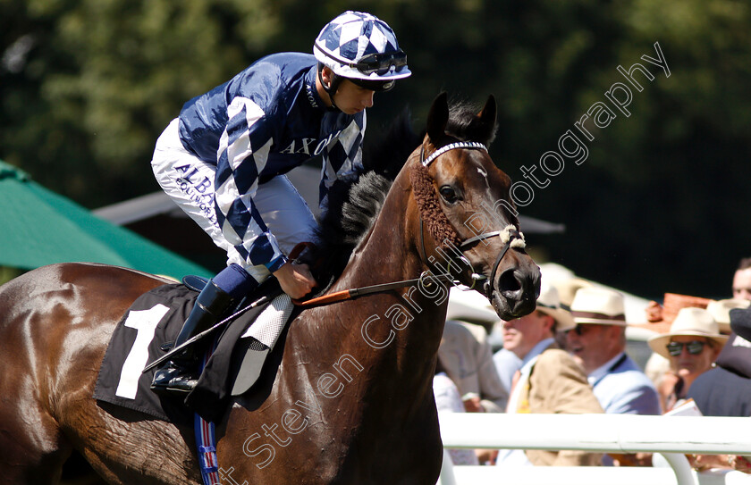 Blakeney-Point-0001 
 BLAKENEY POINT (Oisin Murphy)
Goodwood 3 Aug 2018 - Pic Steven Cargill / Racingfotos.com