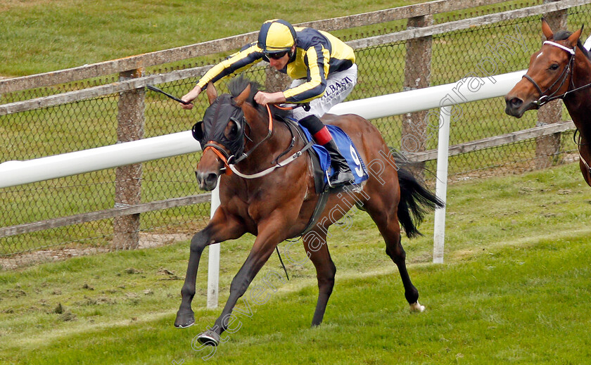 Move-To-The-Front-0004 
 MOVE TO THE FRONT (Adam Kirby) wins The Irish Yearling Sales Nursery Salisbury 7 Sep 2017 - Pic Steven Cargill / Racingfotos.com