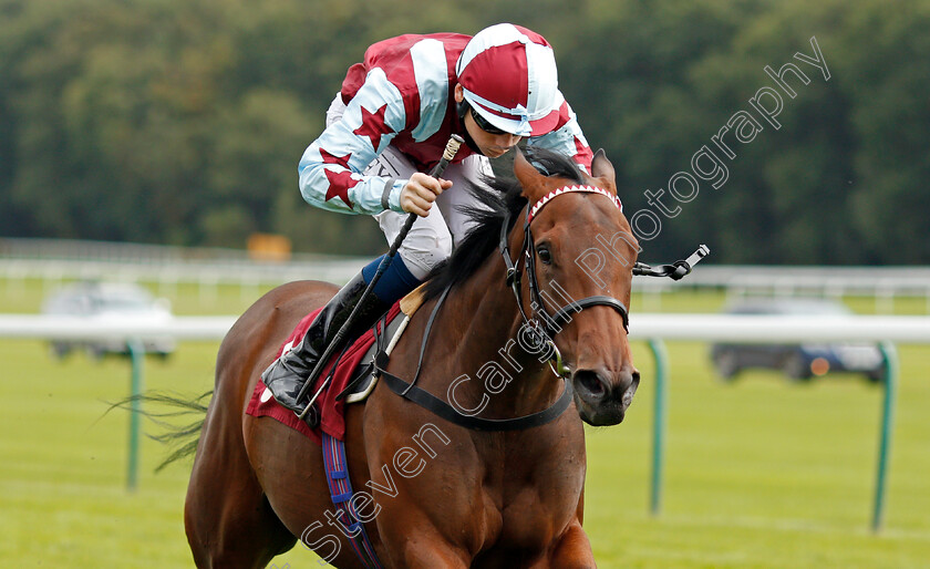 Series-Of-Dreams-0005 
 SERIES OF DREAMS (Callum Shepherd) wins The Betfair Racing Only Bettor EBF Fillies Novice Stakes
Haydock 4 Sep 2020 - Pic Steven Cargill / Racingfotos.com