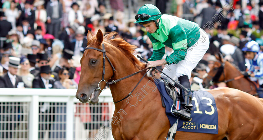 Whistlejacket-0001 
 WHISTLEJACKET (Ryan Moore)
Royal Ascot 20 Jun 2024 - Pic Steven Cargill / Racingfotos.com