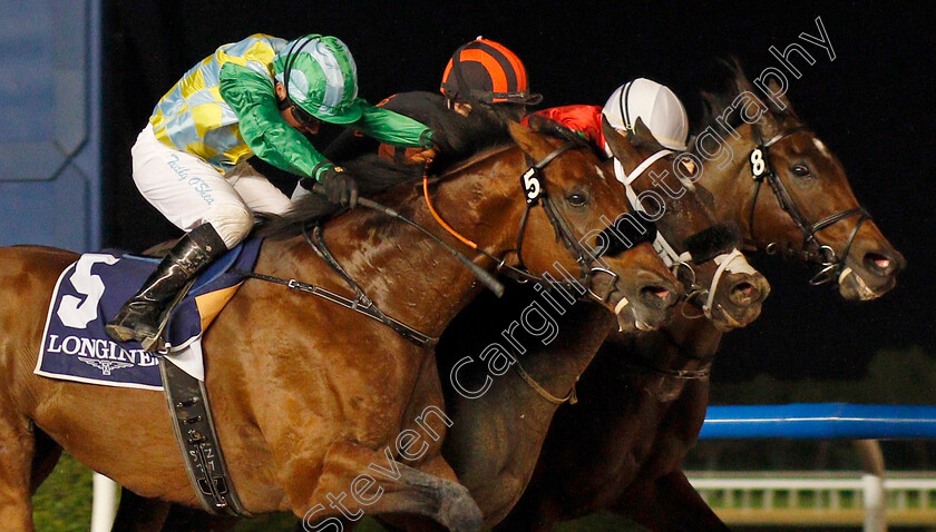 Kimbear-0004 
 KIMBEAR (centre, Pat Dobbs) beats SECRET AMBITION (left) and NORTH AMERICA (right) in The Al Maktoum Challenge (Round 1)
Meydan 9 Jan 2020 - Pic Steven Cargill / Racingfotos.com