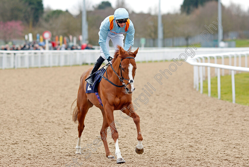 How-Impressive-0002 
 HOW IMPRESSIVE (James Doyle)
Wolverhampton 12 Mar 2022 - Pic Steven Cargill / Racingfotos.com