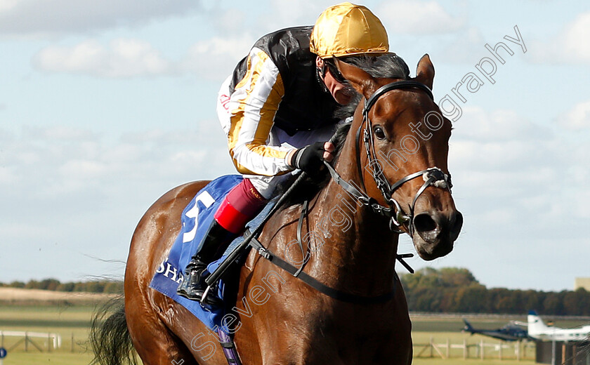 Highgarden-0005 
 HIGHGARDEN (Frankie Dettori) wins The Princess Royal Nayef Stakes
Newmarket 28 Sep 2018 - Pic Steven Cargill / Racingfotos.com