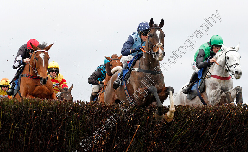 The-Kings-Writ-0001 
 THE KINGS WRIT (Joshua Newman)
Wincanton 30 Jan 2020 - Pic Steven Cargill / Racingfotos.com