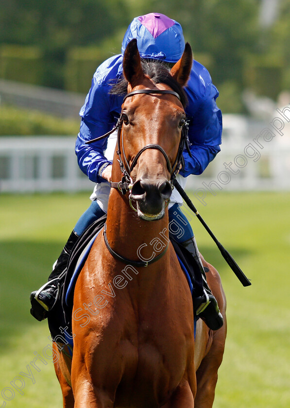 Goldsmith-0002 
 GOLDSMITH (William Buick)
Ascot 23 Jul 2021 - Pic Steven Cargill / Racingfotos.com