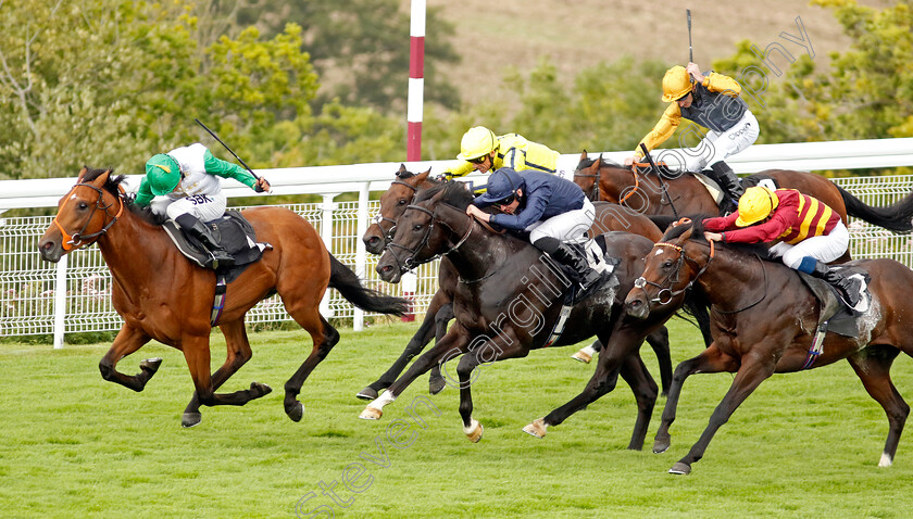 Haatem-0003 
 HAATEM (left, Sean Levey) beats MOUNTAIN BEAR (centre) and IBERIAN (right) in The Nicholson Gin Vintage Stakes
Goodwood 1 Aug 2023 - Pic Steven Cargill / Racingfotos.com