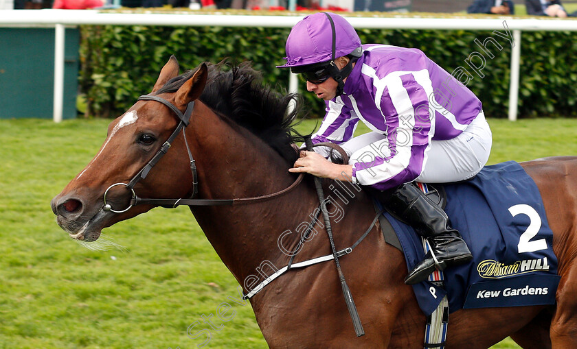 Kew-Gardens-0008 
 KEW GARDENS (Ryan Moore) wins The William Hill St Leger
Doncaster 15 Sep 2018 - Pic Steven Cargill / Racingfotos.com