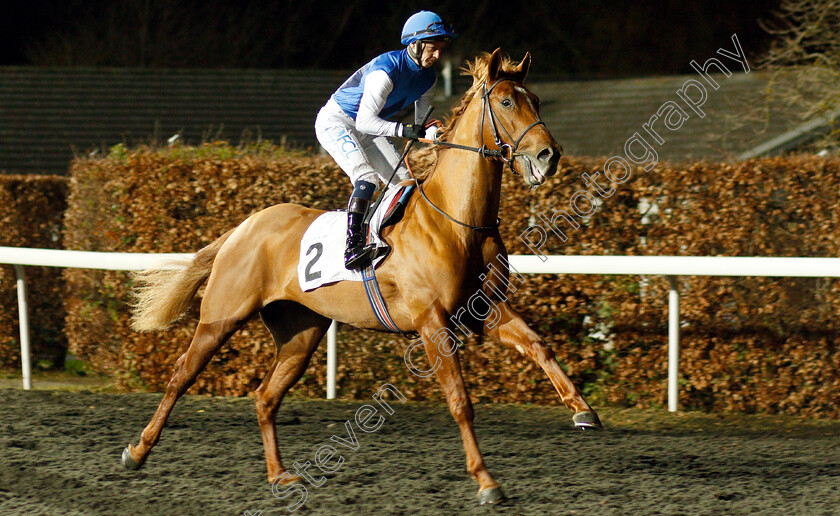 Awesomedude-0001 
 AWESOMEDUDE (Paddy Mathers)
Kempton 12 Dec 2018 - Pic Steven Cargill / Racingfotos.com