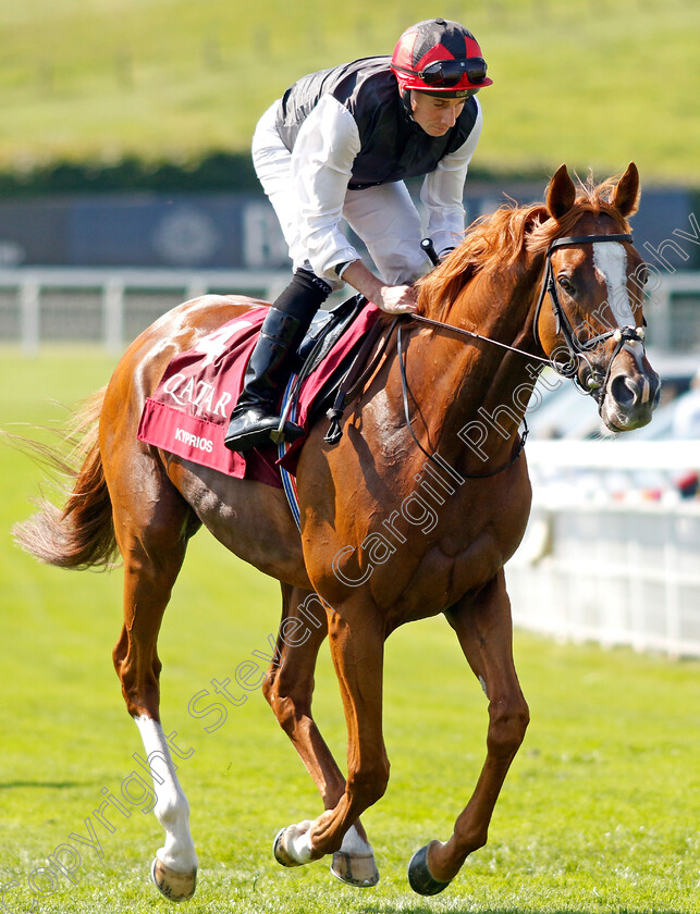 Kyprios-0007 
 KYPRIOS (Ryan Moore) winner of The Al Shaqab Goodwood Cup
Goodwood 30 Jul 2024 - Pic Steven Cargill / racingfotos.com