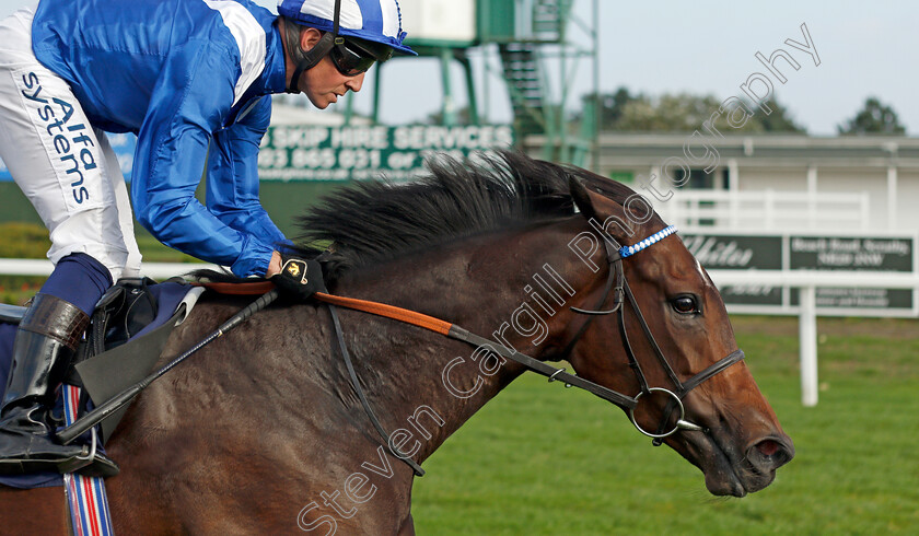 Tarhib-0004 
 TARHIB (Jim Crowley) wins The Racing To School Celebrates 20 Years Novice Stakes
Yarmouth 19 Oct 2021 - Pic Steven Cargill / Racingfotos.com