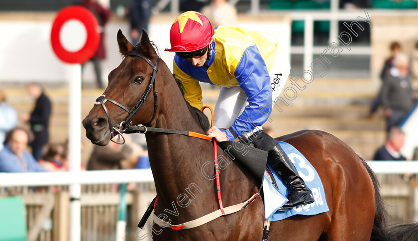 Gordon-Lord-Byron-0001 
 GORDON LORD BYRON (Daniel Tudhope)
Newmarket 12 Oct 2018 - Pic Steven Cargill / Racingfotos.com