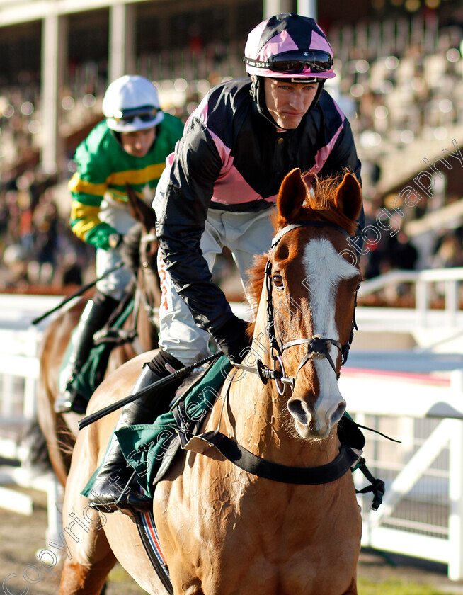 Socialist-Agenda-0002 
 SOCIALIST AGENDA (Adam Wedge)
Cheltenham 10 Dec 2021 - Pic Steven Cargill / Racingfotos.com