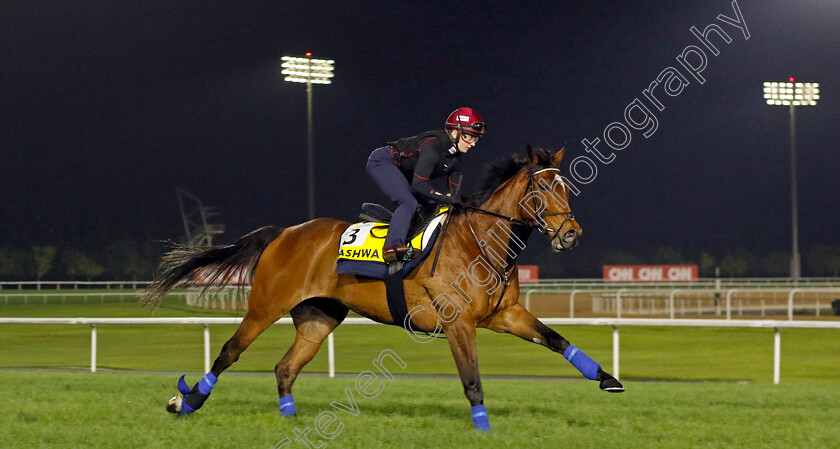 Nashwa-0001 
 NASHWA (Hollie Doyle) training for The Dubai Turf
Meydan Dubai 28 Mar 2024 - Pic Steven Cargill / Racingfotos.com