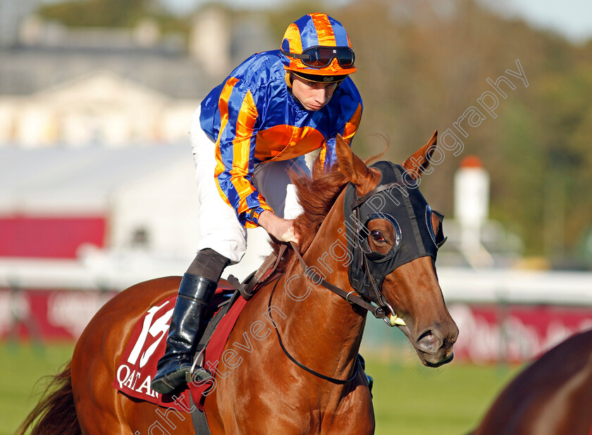 Port-Fairy-0001 
 PORT FAIRY (Ryan Moore)
Longchamp 5 Oct 2034 - Pic Steven Cargill / Racingfotos.com