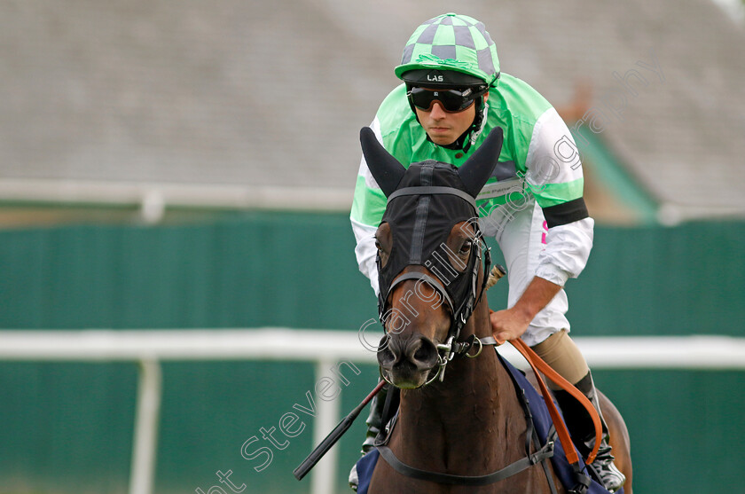 Zim-Baby-0001 
 ZIM BABY (Frederick Larson)
Yarmouth 13 Sep 2022 - Pic Steven Cargill / Racingfotos.com