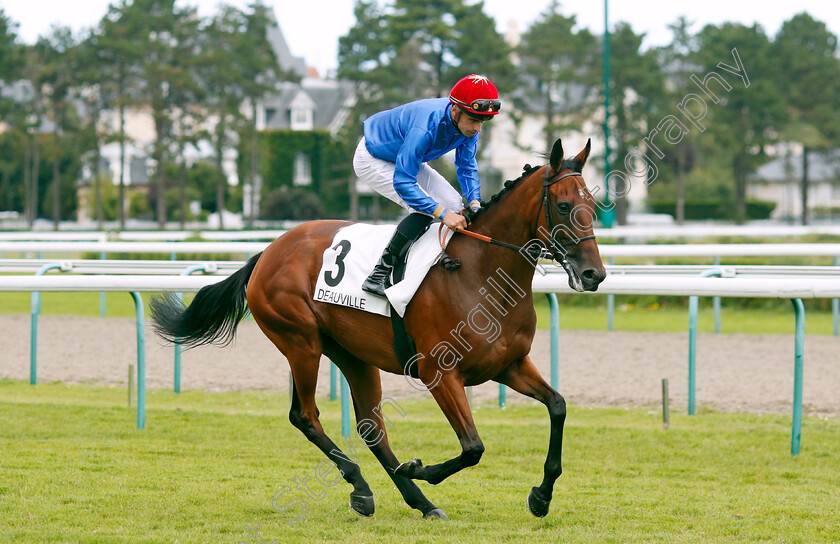 Winning-Side-0001 
 WINING SIDE (P Bazire)
Deauville 13 Aug 2023 - Pic Steven Cargill / Racingfotos.com