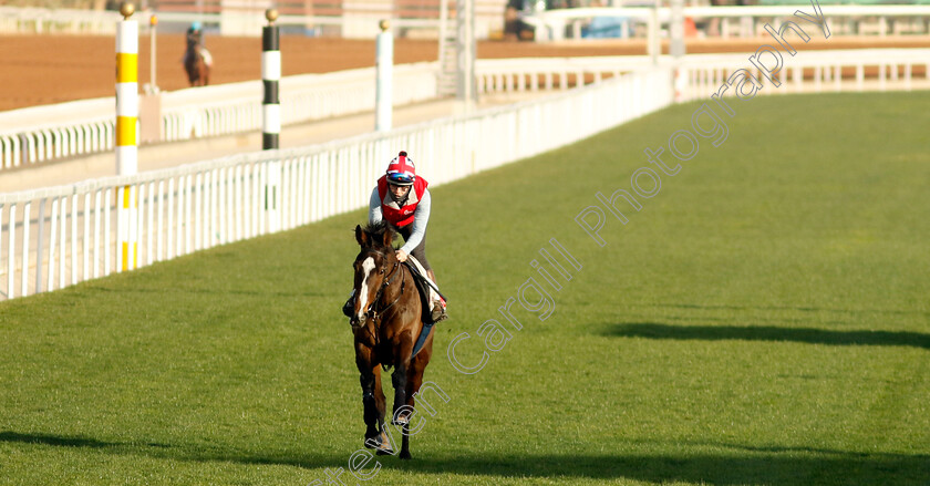 Roberto-Escobarr-0001 
 ROBERTO ESCOBARR training for The Red Sea Turf Handicap
King Abdulaziz Racecourse, Saudi Arabia 21 Feb 2024 - Pic Steven Cargill / Racingfotos.com