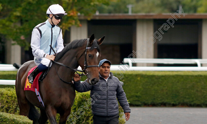 Volakes-0001 
 VOLAKES (Billy Loughnane)
Kempton 2 Oct 2024 - pic Steven Cargill / Racingfotos.com