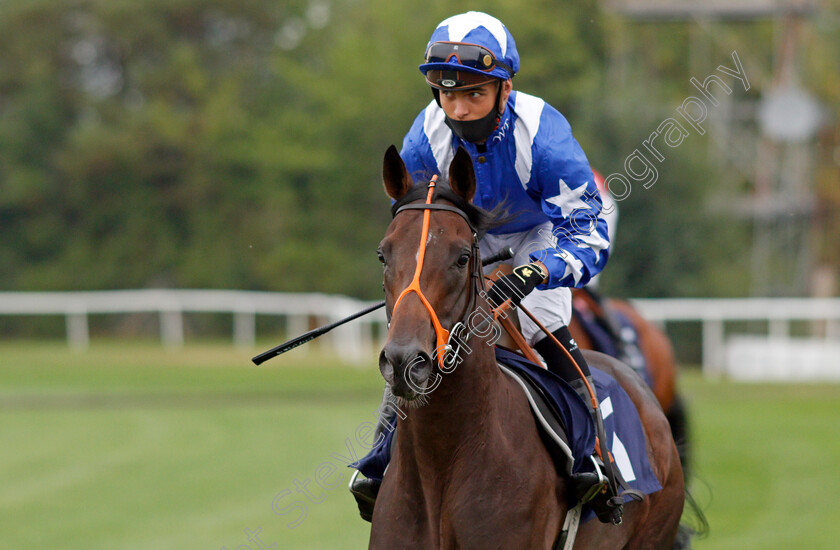 Power-Station-0001 
 POWER STATION (Thore Hammer Hansen)
Lingfield 14 Aug 2020 - Pic Steven Cargill / Racingfotos.com