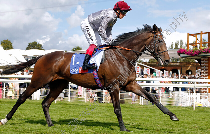 Davideo-0001 
 DAVIDEO (Frankie Dettori)
York 26 Aug 2023 - Pic Steven Cargill / Racingfotos.com