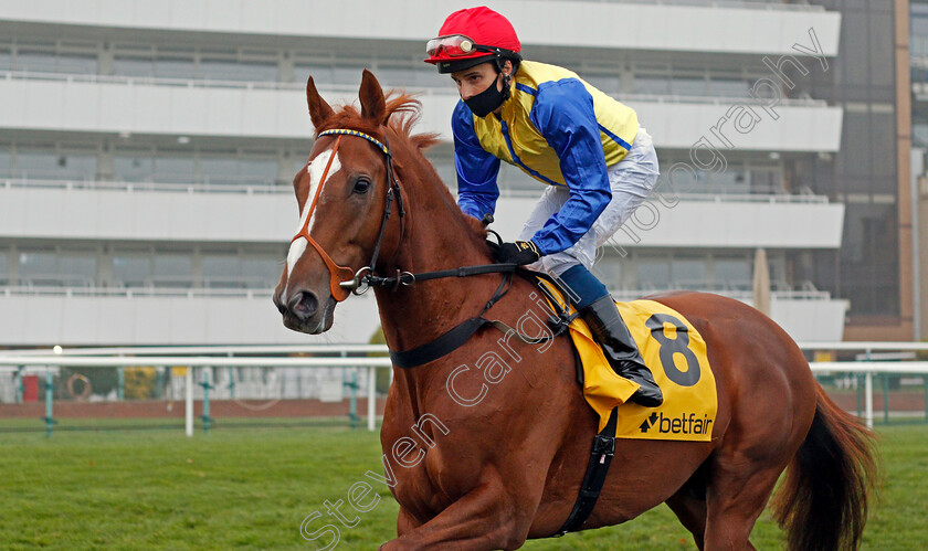 Rhythmic-Intent-0001 
 RHYTHMIC INTENT (William Buick)
Doncaster 7 Nov 2020 - Pic Steven Cargill / Racingfotos.com