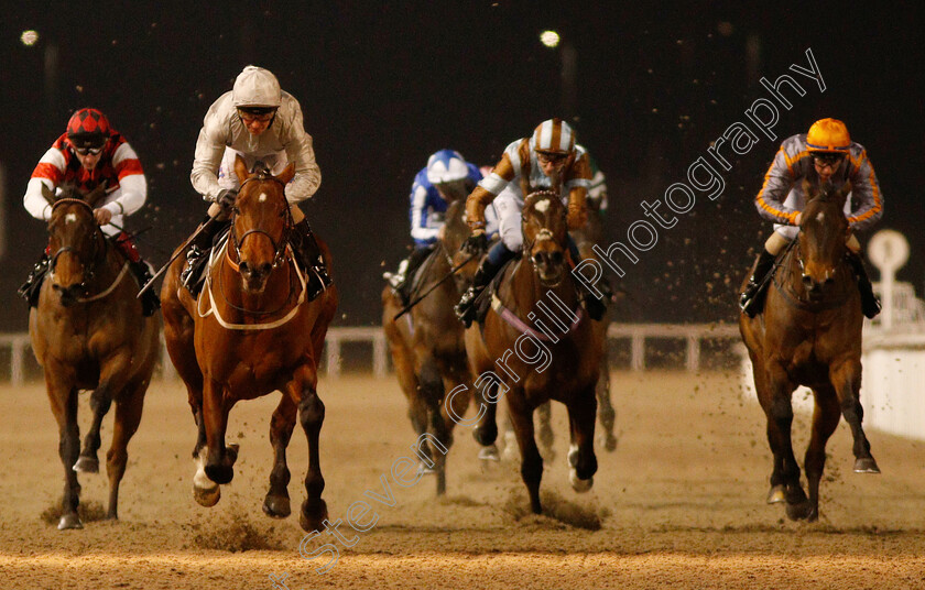 Matterhorn-0002 
 MATTERHORN (Joe Fanning) wins The Bet In Play totesport.com Handicap
Chelmsford 20 Feb 2019 - Pic Steven Cargill / Racingfotos.com