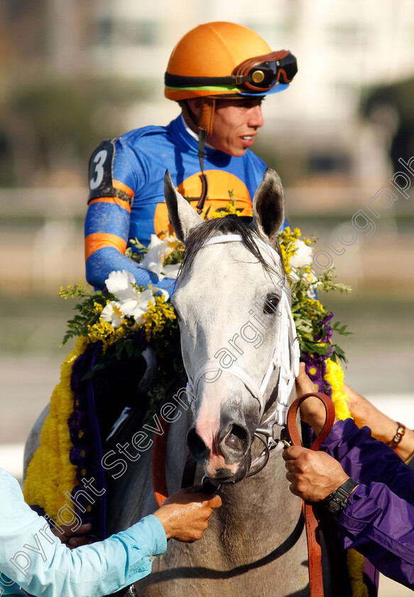 White-Abarrio-0012 
 WHITE ABARRIO (Irad Ortiz) winner of The Breeders' Cup Classic
Santa Anita 4 Nov 2023 - pic Steven Cargill / Racingfotos.com