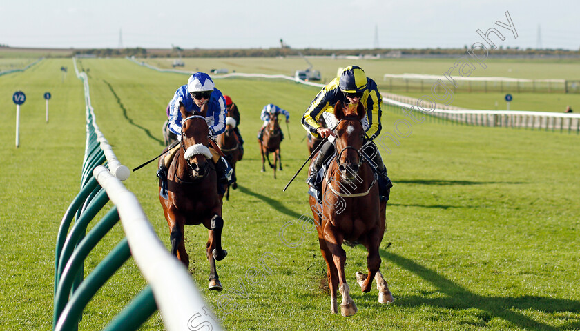 Wind-Your-Neck-In-0001 
 WIND YOUR NECK IN (right, Ryan Moore) beats AEGIS POWER (left) in The British EBF Future Stayers Nursery
Newmarket 20 Oct 2021 - Pic Steven Cargill / Racingfotos.com