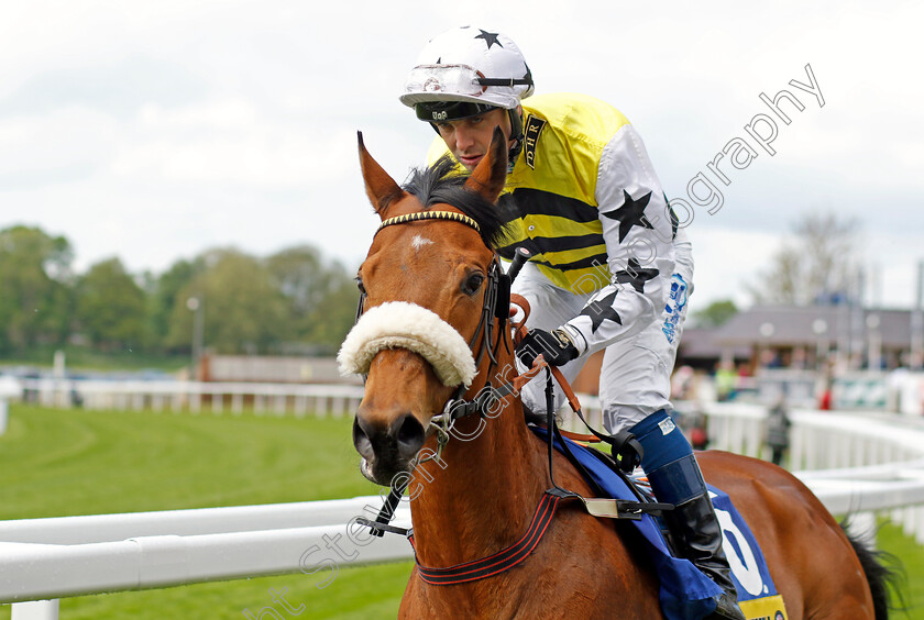 Dakota-Gold-0001 
 DAKOTA GOLD (Connor Beasley) winner of The Churchill Tyres Handicap
York 11 May 2022 - Pic Steven Cargill / Racingfotos.com