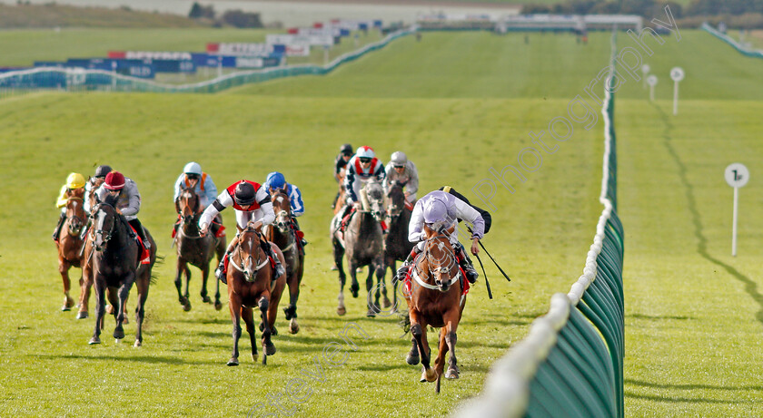 Dolphin-Vista-0001 
 DOLPHIN VISTA (George Wood) wins The Betfred Cambridgeshire Handicap Newmarket 30 Sep 2017 - Pic Steven Cargill / Racingfotos.com