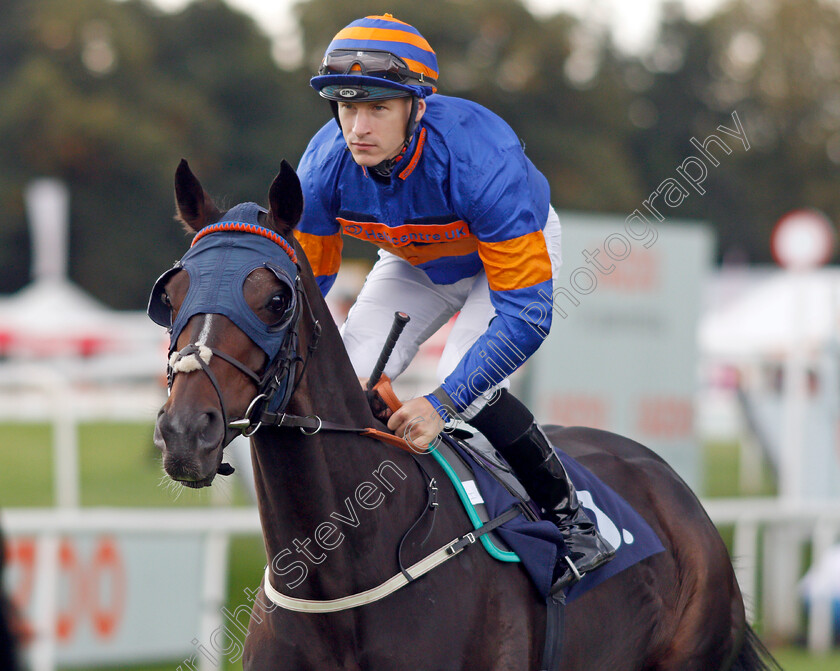 The-Grand-Visir-0002 
 THE GRAND VISIR (Richard Kingscote)
Doncaster 10 Sep 2021 - Pic Steven Cargill / Racingfotos.com