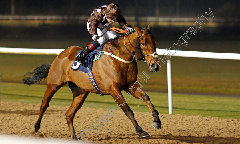 Matewan-0001 
 MATEWAN (Ben Curtis)
Wolverhampton 20 Jan 20 - Pic Steven Cargill / Racingfotos.com