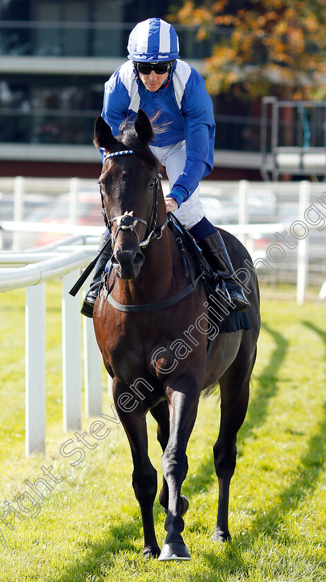 Emaraaty-0001 
 EMARAATY (Jim Crowley) winner of The Wedgewood Estates EBF Novice Stakes Div2 Newbury 23 Sep 2017 - Pic Steven Cargill / Racingfotos.com